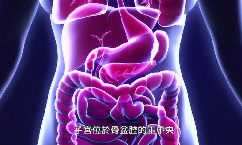 女性复合维生素副作用网- 女性复合维生素能长期吃吗知识,分享女性复合维生素副作用大不大