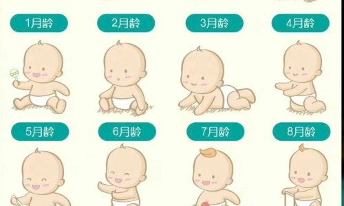 女性复合维生素副作用网- 女性复合维生素能长期吃吗知识,分享女性复合维生素副作用大不大